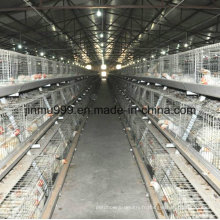 Cage de poulet de couche de machine d&#39;équipement de ferme de Chine